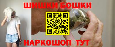 индика Каменск-Шахтинский