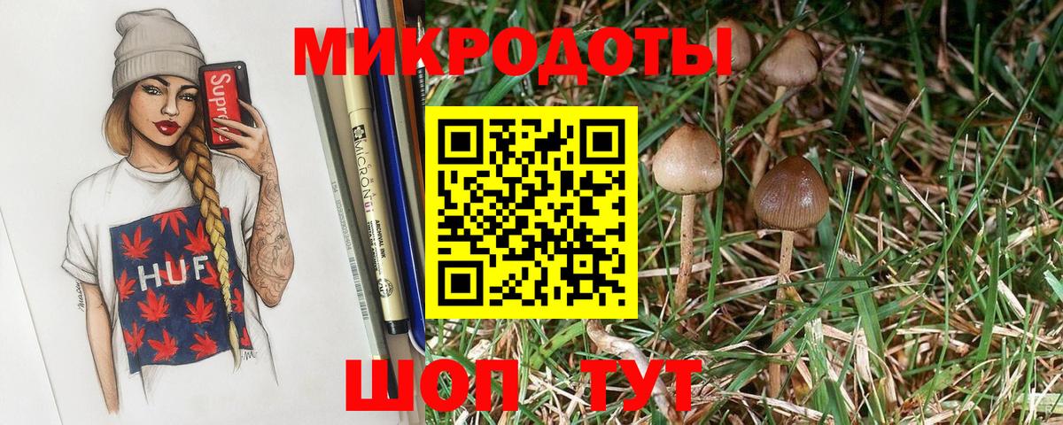 Псилоцибиновые грибы Psilocybine cubensis Мурманск