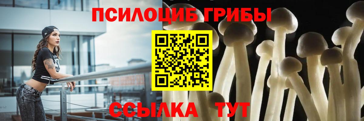 Галлюциногенные грибы ЛСД  что такое   Мурманск  Вход с VPN 
